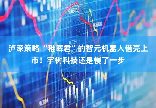 泸深策略 “稚晖君”的智元机器人借壳上市！宇树科技还是慢了一步