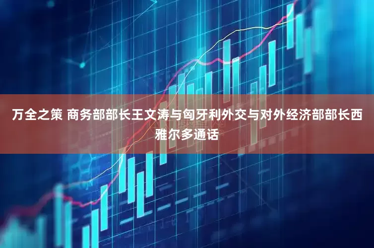 万全之策 商务部部长王文涛与匈牙利外交与对外经济部部长西雅尔多通话